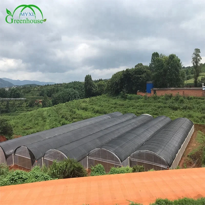 MYXL High Quality Anti-drip Plastic Film Cover Green Houses for Agriculture Production