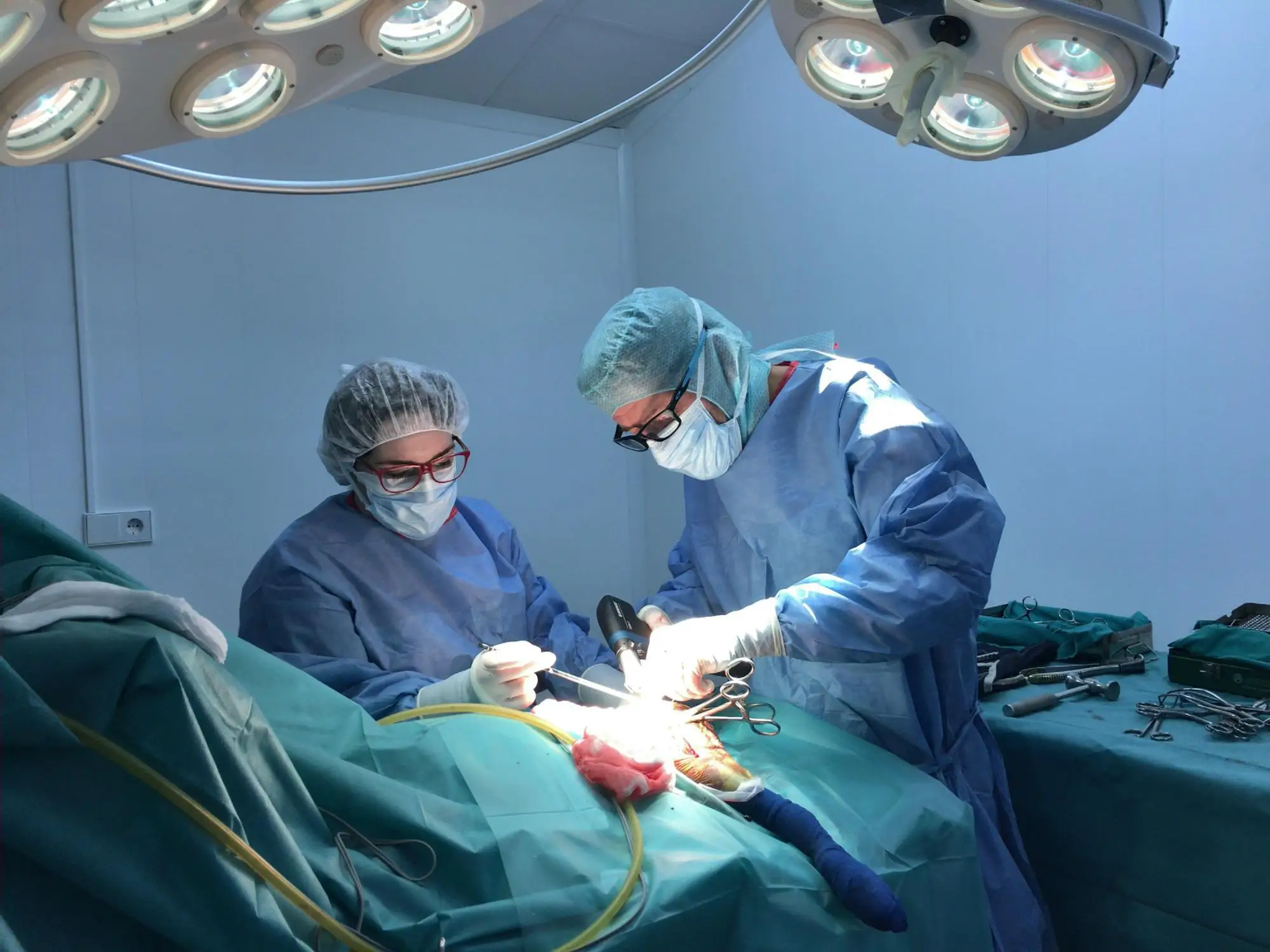 Durable Veterinary Medical Equipment Ceiling Mounted Cold Light Shadowless Light for Vet Surgery Room for Sale