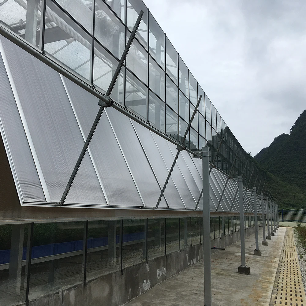 Natural ventilation vegetable seeding nursery glass greenhouse