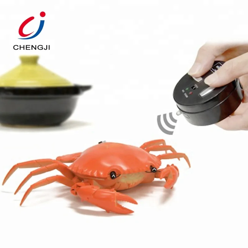 Novelty Children Plastic Battery Sea Animal Model Rc Crab Toy