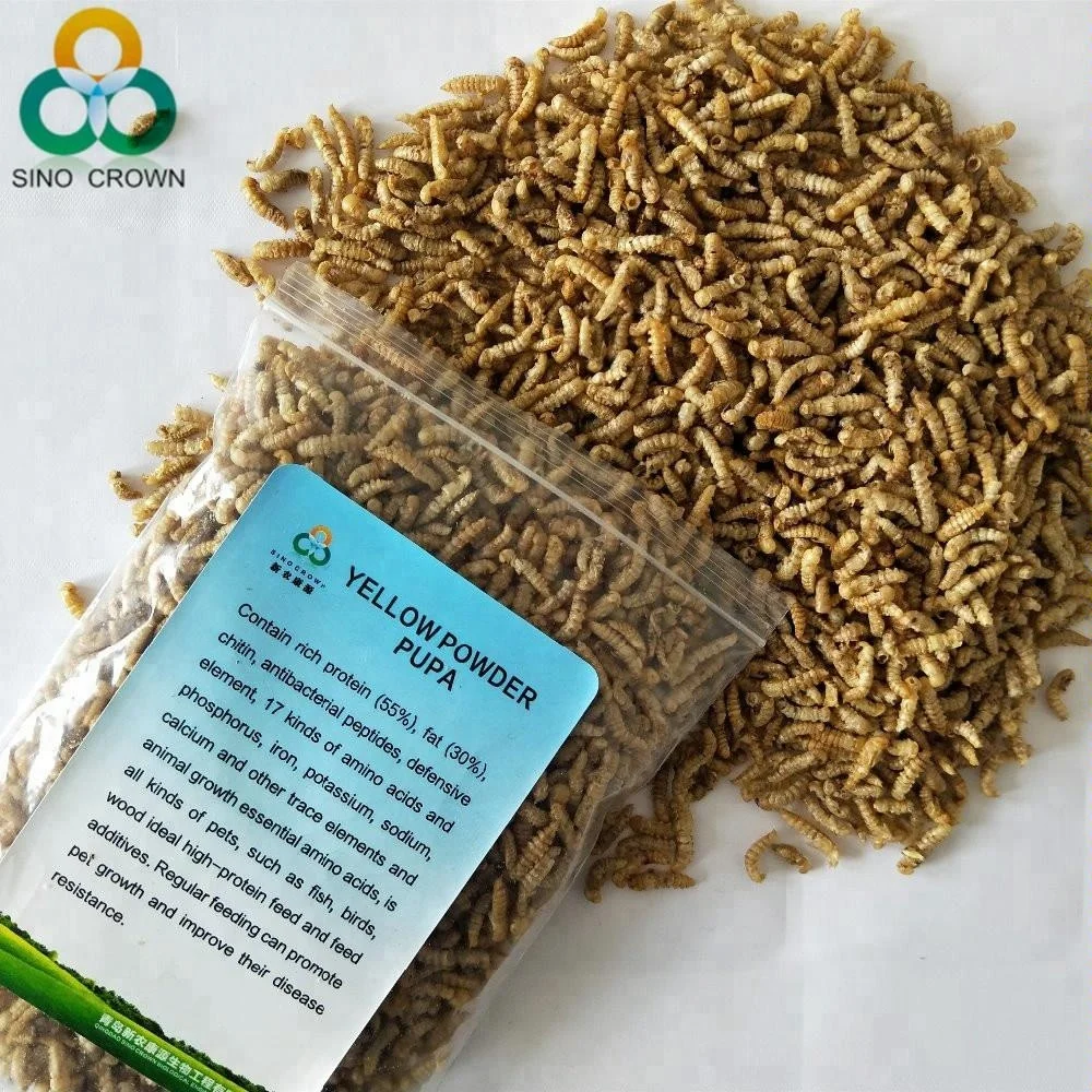 Dried Yellow Meal Worms Pupa Mealworm Pupa Bird Food Pet Food