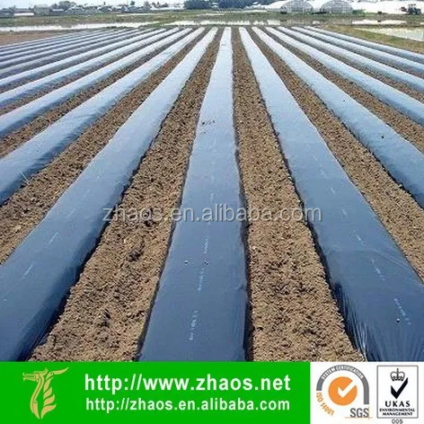 
thin plastic sheet roll | 100% new plastic sheet | biodegradable plastic sheet 