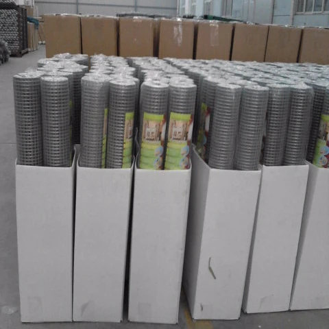 China Factory Quality Hot-dipped Galvanized Welded Wire Standard Mesh