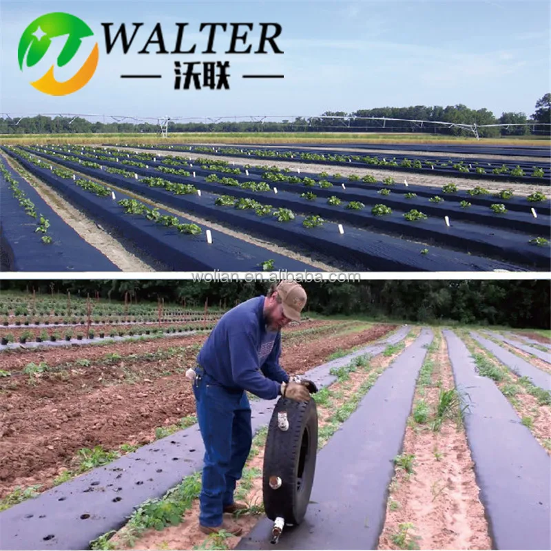 Лист из мульчирующей бумаги