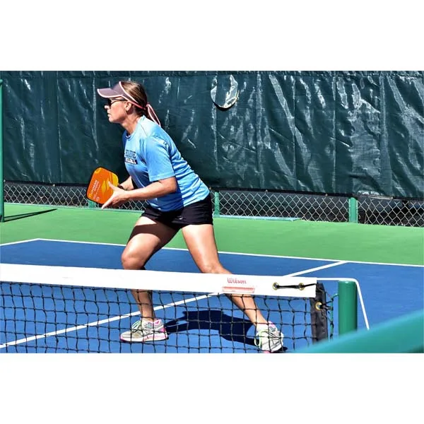 2019 New sport Graphite Face & Polymer Core Pickle ball Paddle  Factory Price OEM/ODM pickle ball paddle