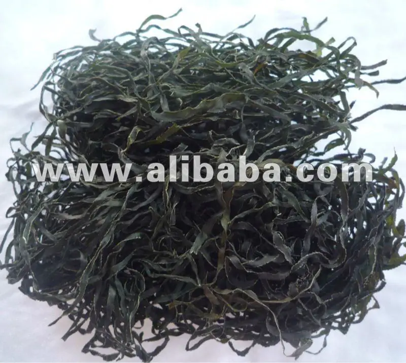 
 Machine dried cut kelp,Shredded laminaria dried  