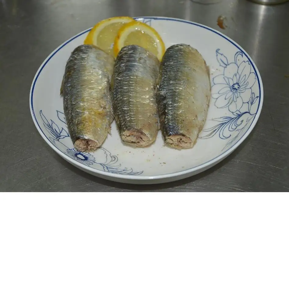 Best quality oil canned sardine canned sardine