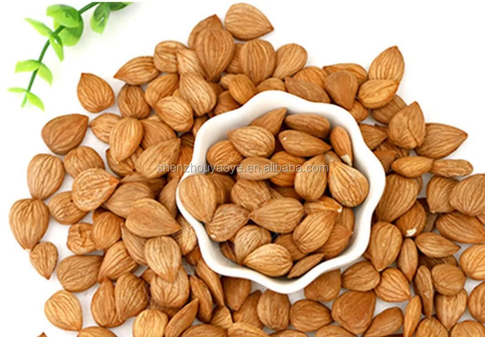 
Bulk Organic Raw Apricot Kernels Without Shell 