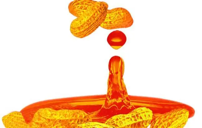 ground nut frankincense basil  peanut sunflower seed castor sesame palm kernel oil extraction machine