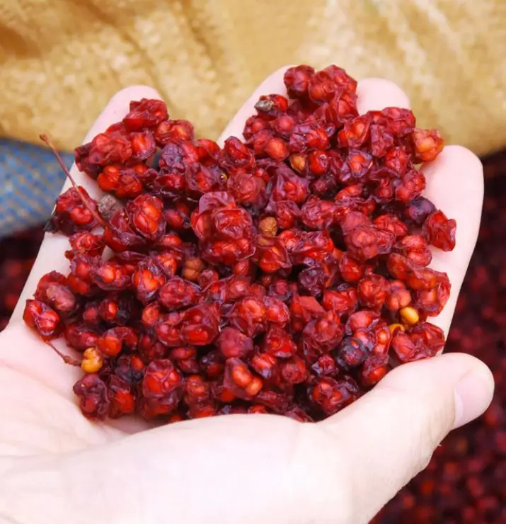 
Natural dried Schizandra berries wu-wei-zi fruits for chinese herbs 