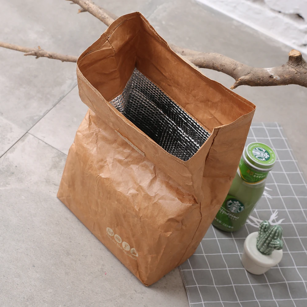 Brown dupont kraft paper waterproof portable thermal insulation lunch bag for picnic