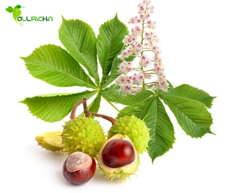 Wholesale horse chestnut, herbal extract horse chestnut extract
