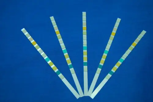 reagent strips for urine test