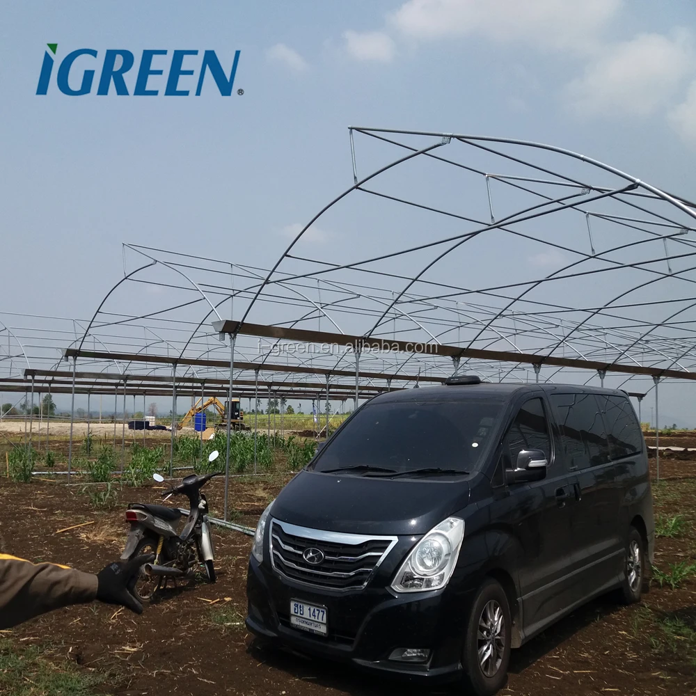 HOT sale natural ventilation greenhouse for tomato