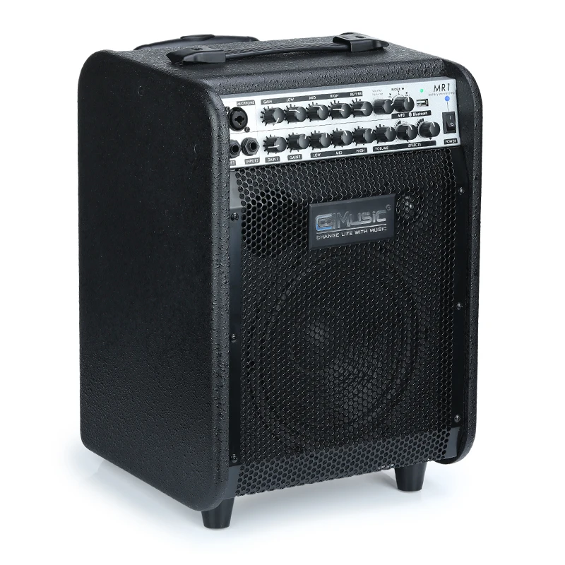 60W Multifunctional Keyboard Speaker Vocal Power Guitar Amplifier
