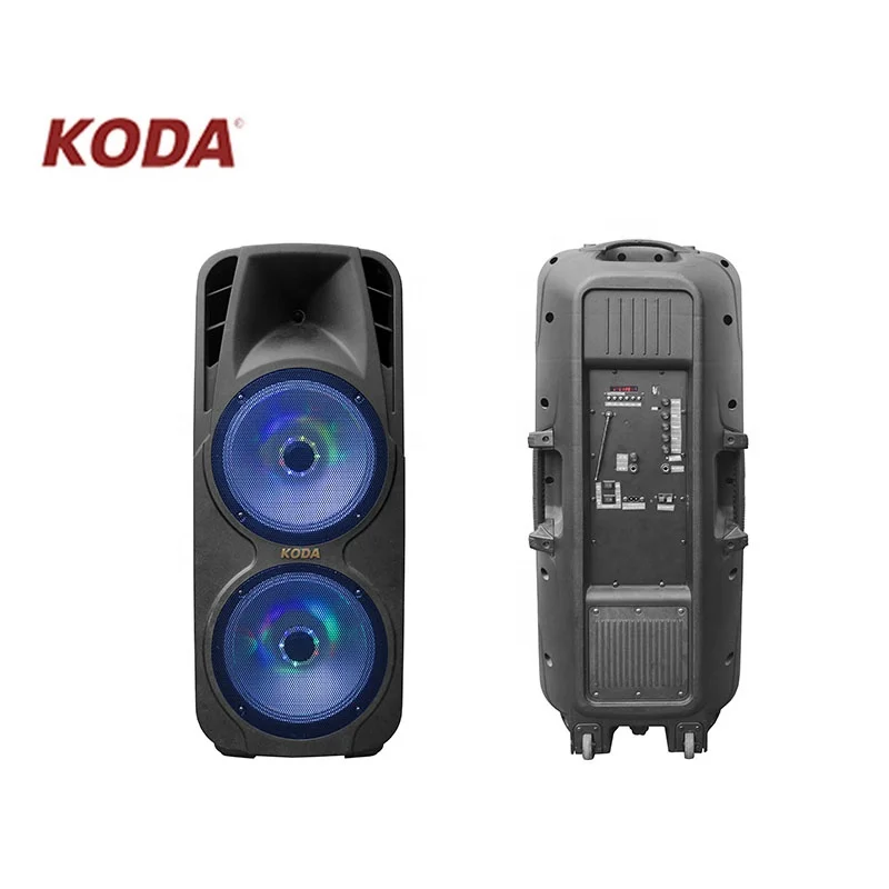 double 15 inch portable trolley speaker with USB/SD card