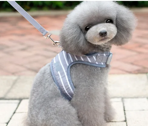 
Breathable fashionable pet chest and back cover traction suit vest style pet harness 