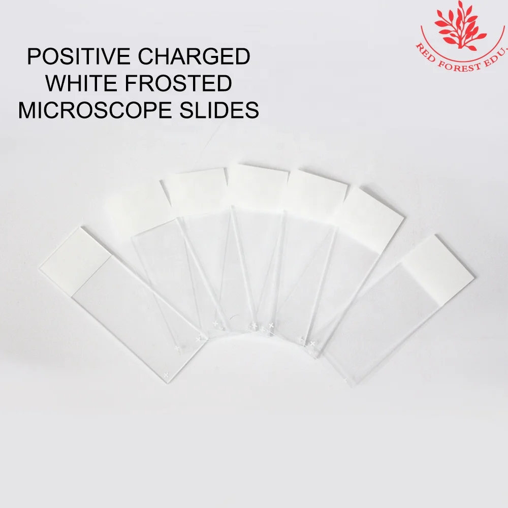 Immunohistochemistry Lab use blank adhesion microscope slides