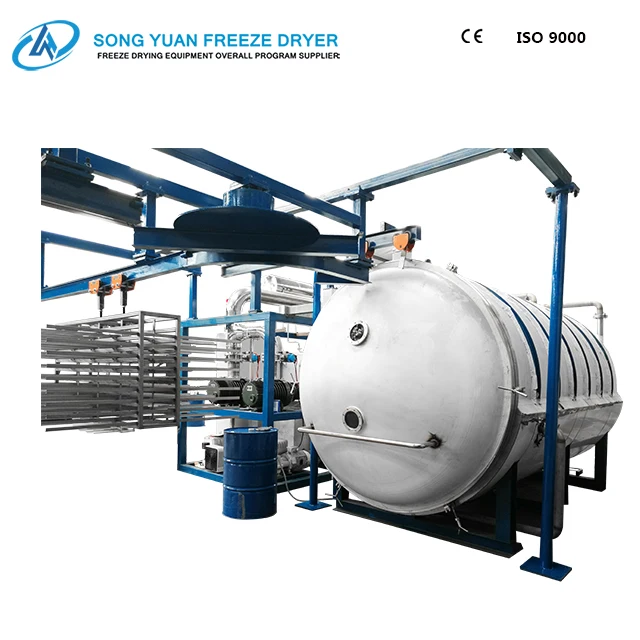 High quality commercial food freeze dryer LG-30 freezing area 30 square meters