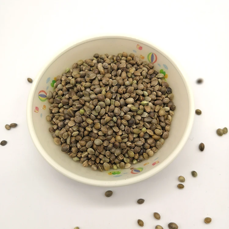 Лучшие семена конопли китайские промышленные оптом семена конопли для оптовой продажи