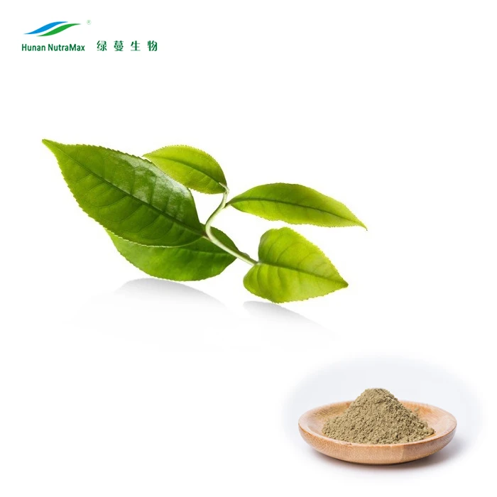 Low caffein Green Tea extract 30% L- Theanine 98% Polyphenole 95% EGCG