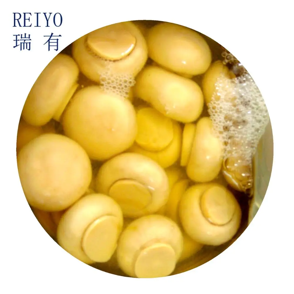 
Canned food all kinds of canned vegetables 