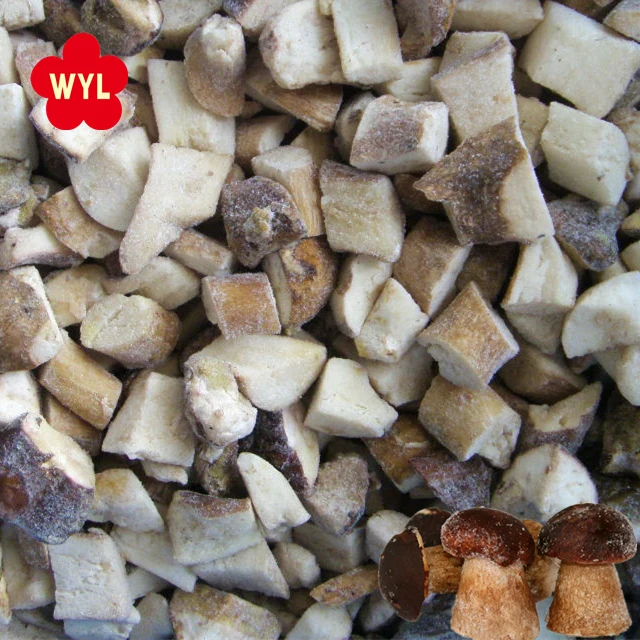 
frozen boletus edulis with best price 