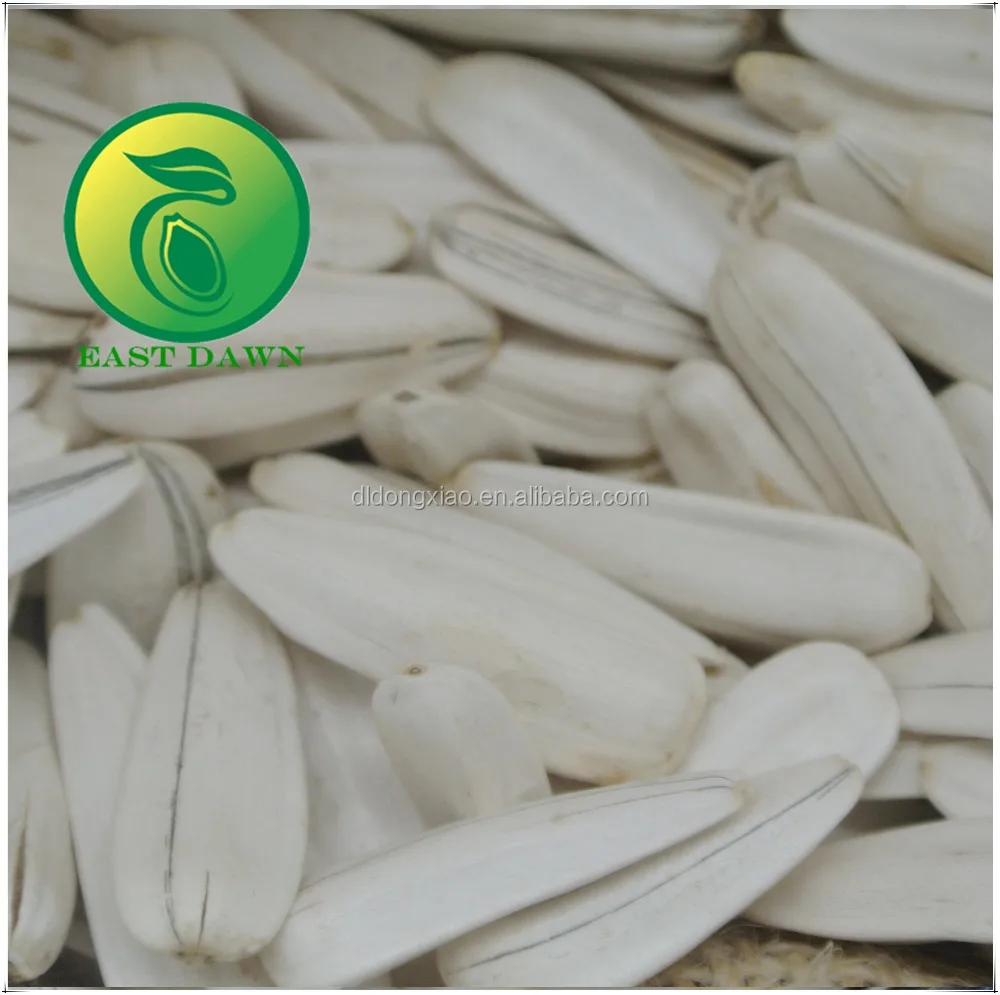 Canary White Sunflower Seeds Bird Seeds