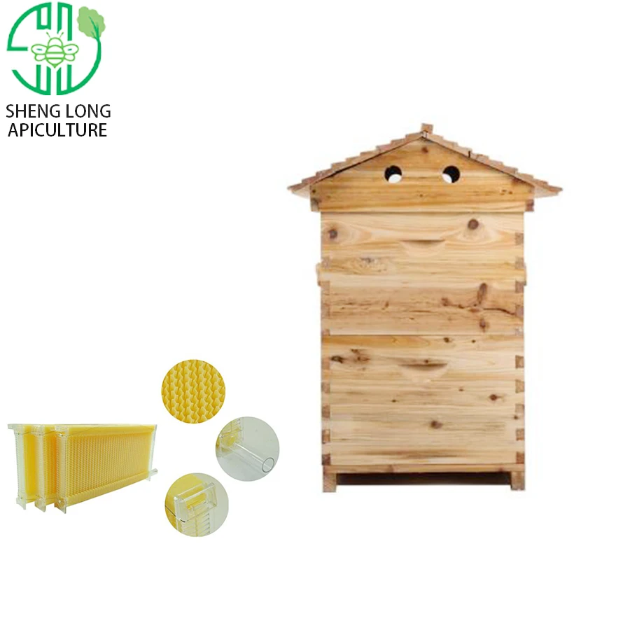 Full Set Artesian beehive With Watching Windows Artesian Bee Hive Honey Artesian Beehive Frames Langstroth Brood Box/super Box