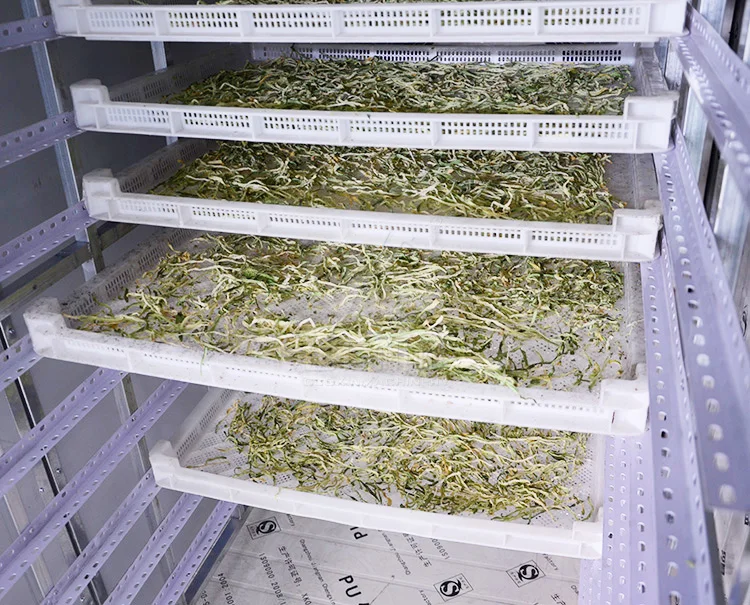 
High Efficiency Electric Hot Air Bamboo Shoots Drying Chamber 