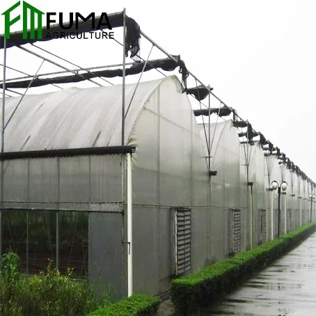 FM полная пластиковая пленка, тепличная структура для сельского хозяйства