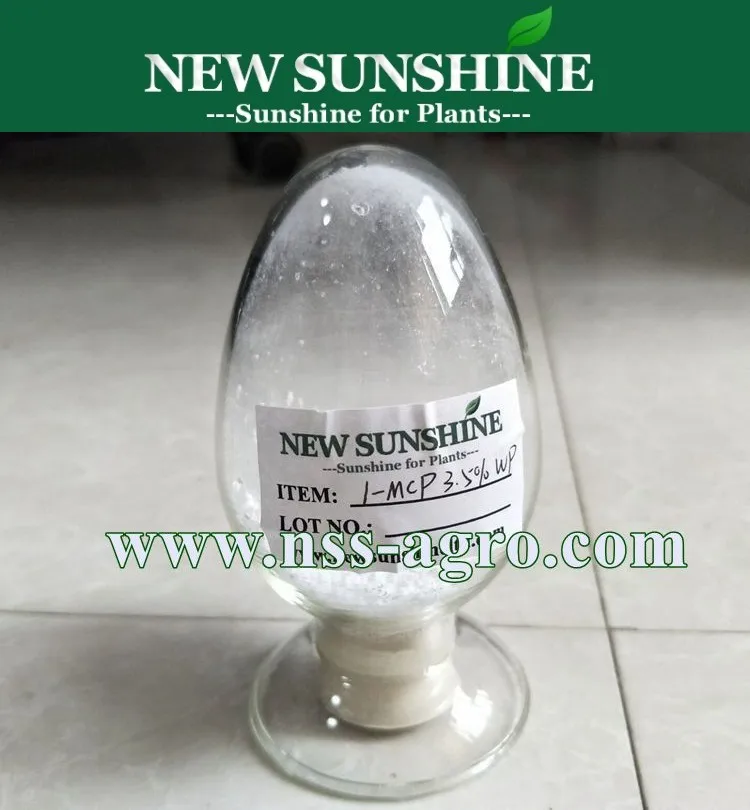 Превосходное качество 1MCP 1-метилциклопропен 1-MCP 1 MCP CAS 3100-04-7