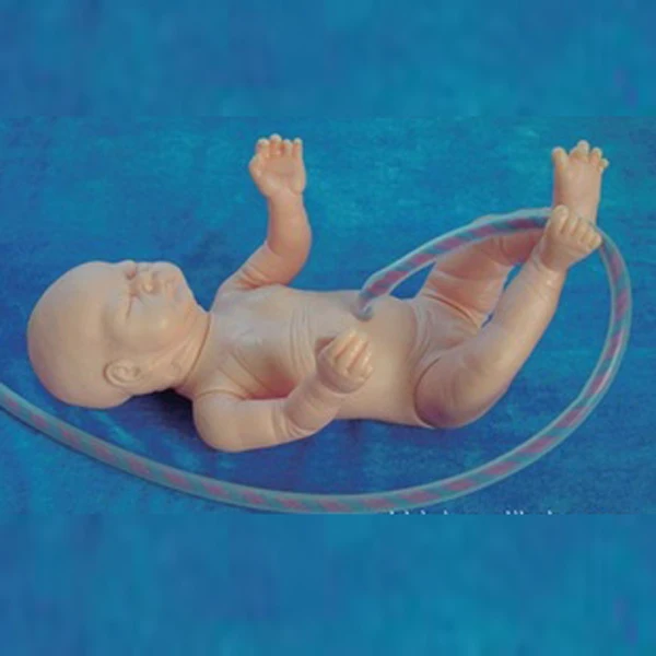BIX-F52 Medical Science Nursing Training Made In China Pregnant Women And Childbirth Model