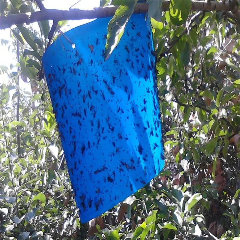 Anti pest blue sticky card