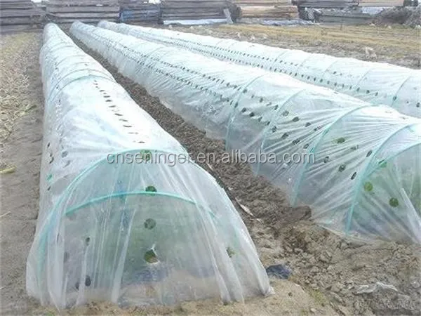 PE Co-extruded Low Tunnel Film For Agriculture