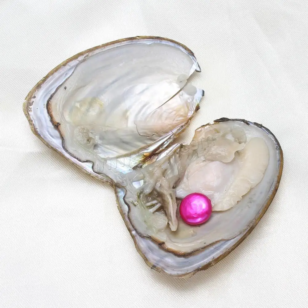 hot selling high quality freshwater cultured love wish pearl oysters with colored pearls 10-11mm