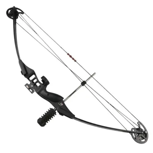 M183 outdoor shooting archery wholesale compound bow for hunting
