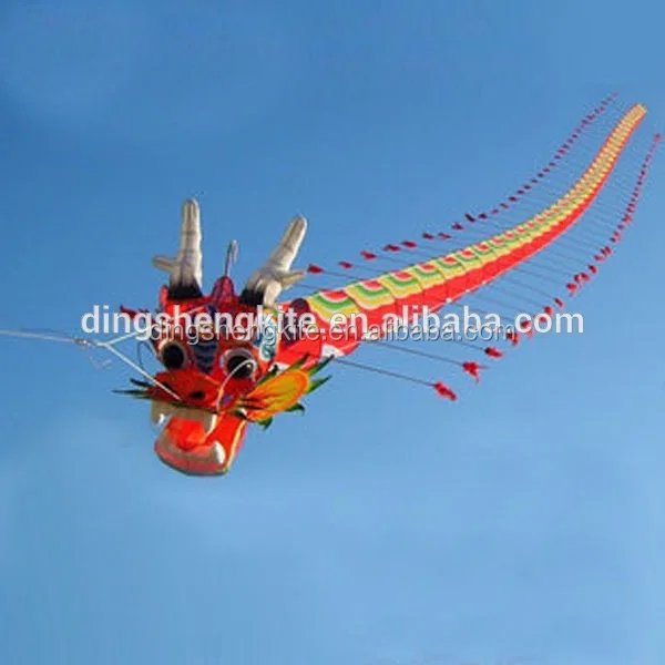 China traditional 3D dragon kite