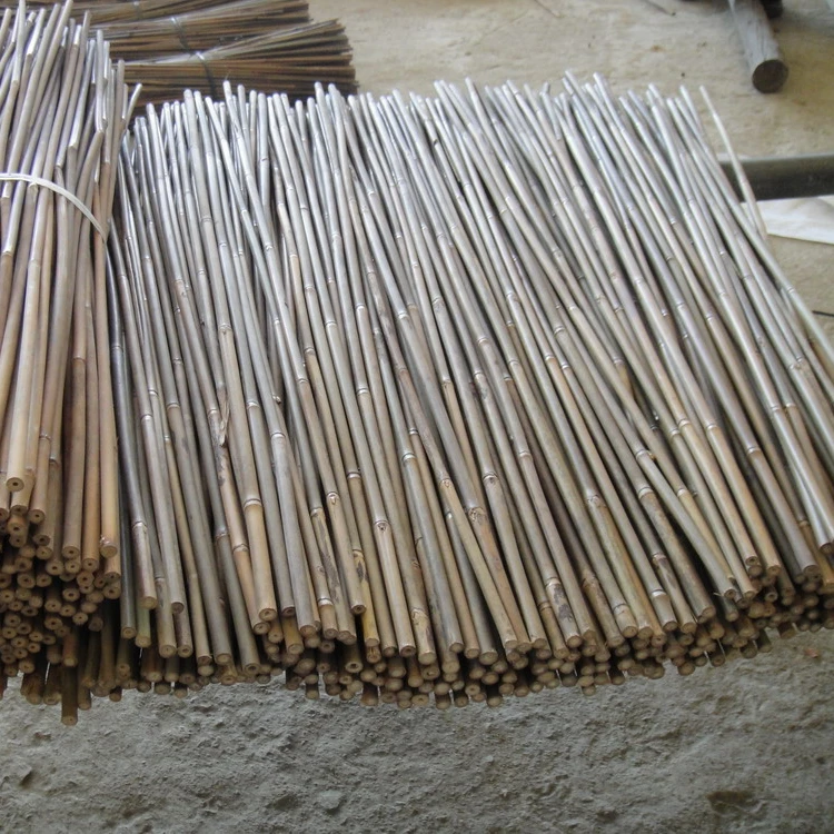 Бамбук для сада