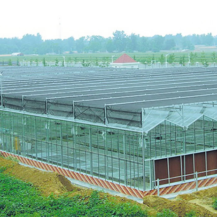 Agricultural Greenhouse  Venlo Glass Agricultural Green house shade green house for plants/vegetable/flowers