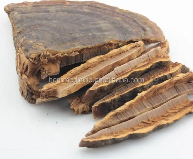 Pure premium quality shredded mushrooms raw chopped ganoderma slices