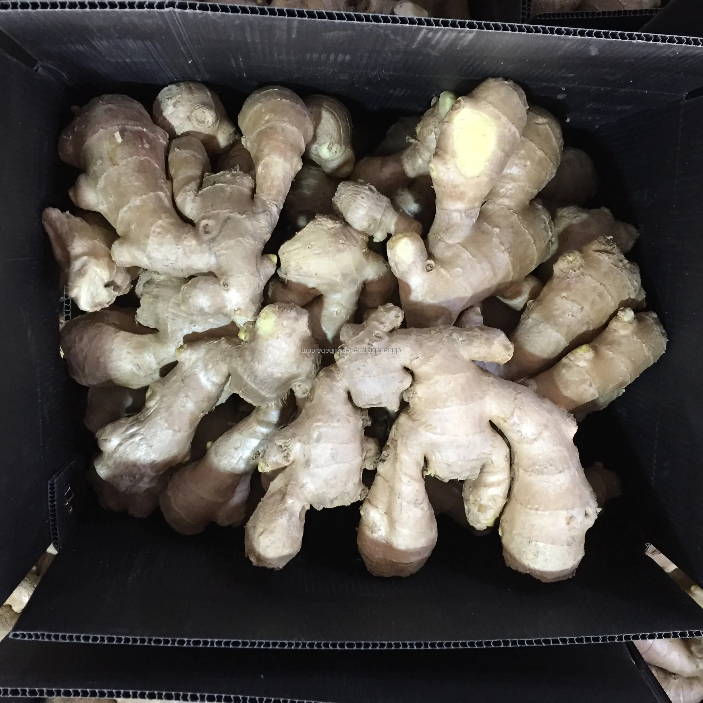 250g Chinese Air Dried Ginger