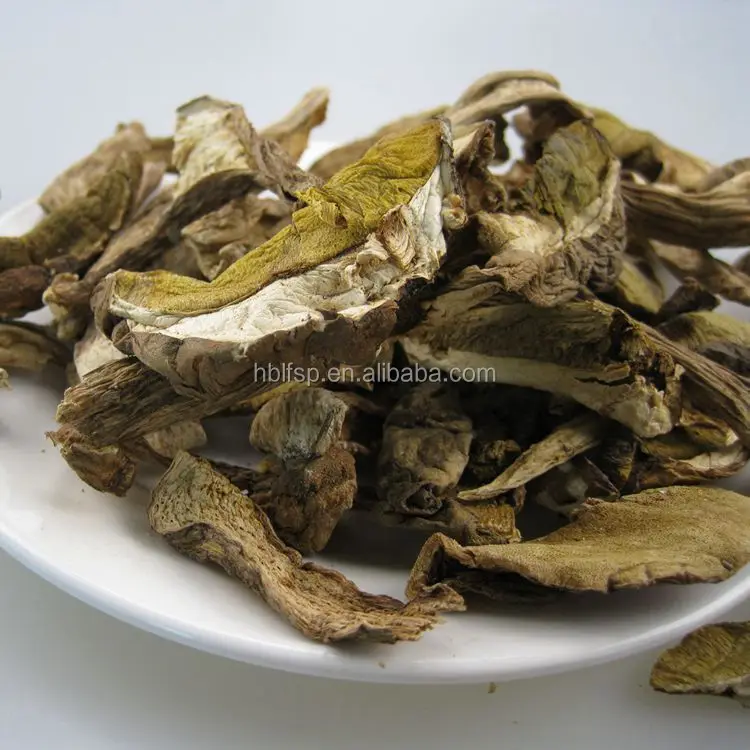 
Market Prices for Bulk Wild Dried Porcini Mushroom Slice 