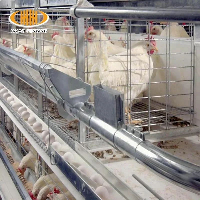 China factory wholesale low price good poultry chicken cages layer cages egg chicken
