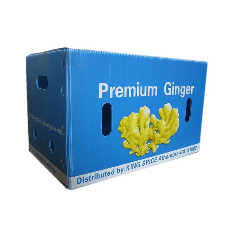 Portable correx floor sheet coroplast pp flat plastic sheets 48 x 96