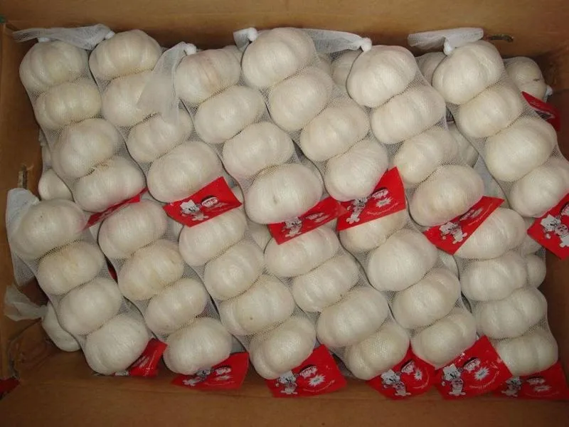 Чеснок сушёный, гранулы 8Х16,40Х80