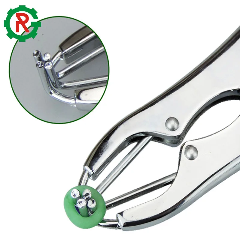 Veterinary Instruments castration equipment for pig piglet
