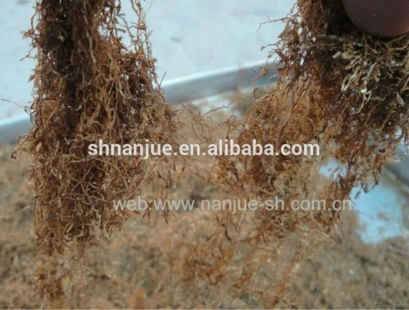 herb cutter aromatic herb tea licorice cutting machine seaweed cutting machine