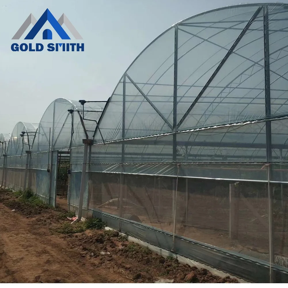 Multi Span Agricultural Film Greenhouse Using Hot Galvanized Steel Structure Frame