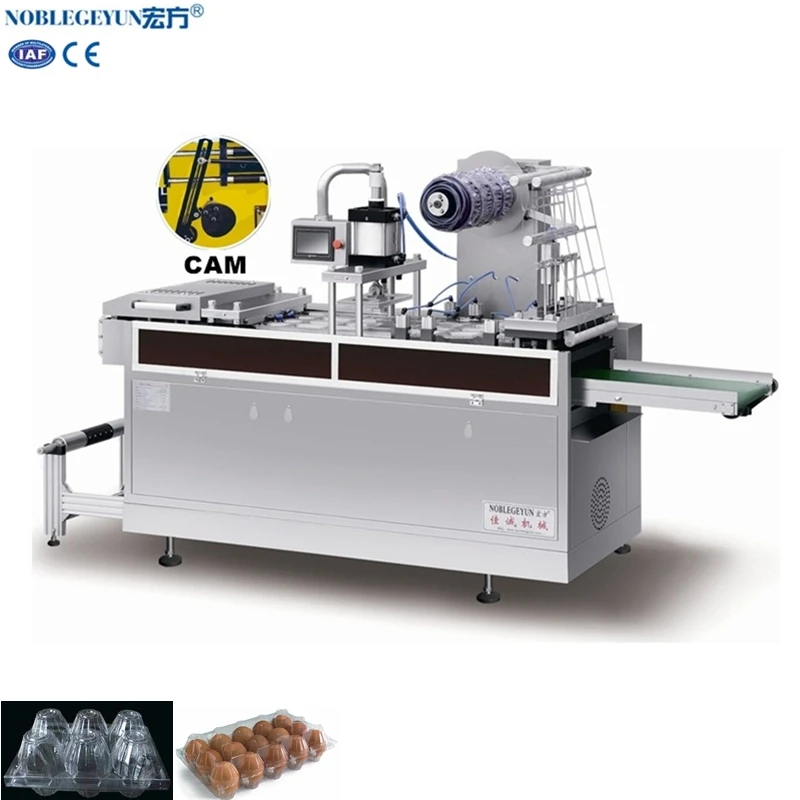 
Good Quality Automatic Egg Tray Container Making Machine 